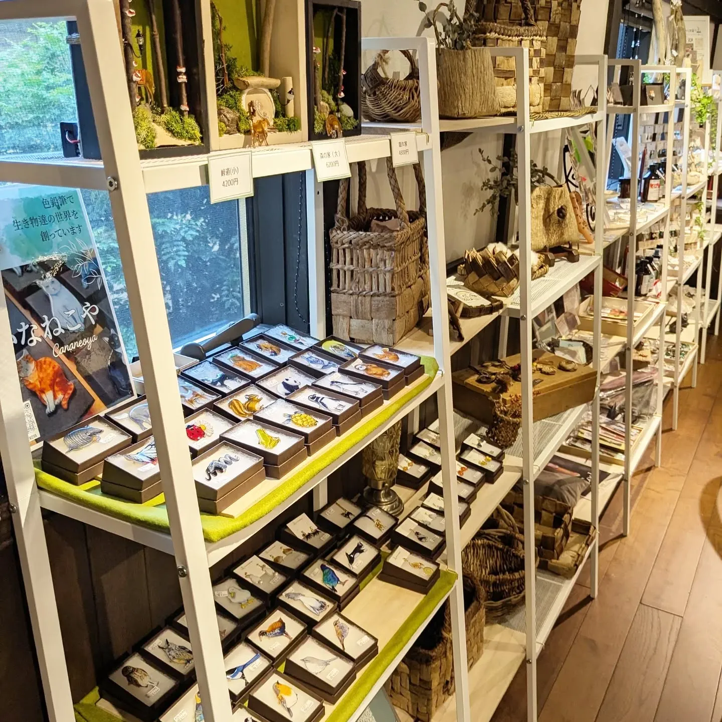 ☆三鷹のイベント出没中☆