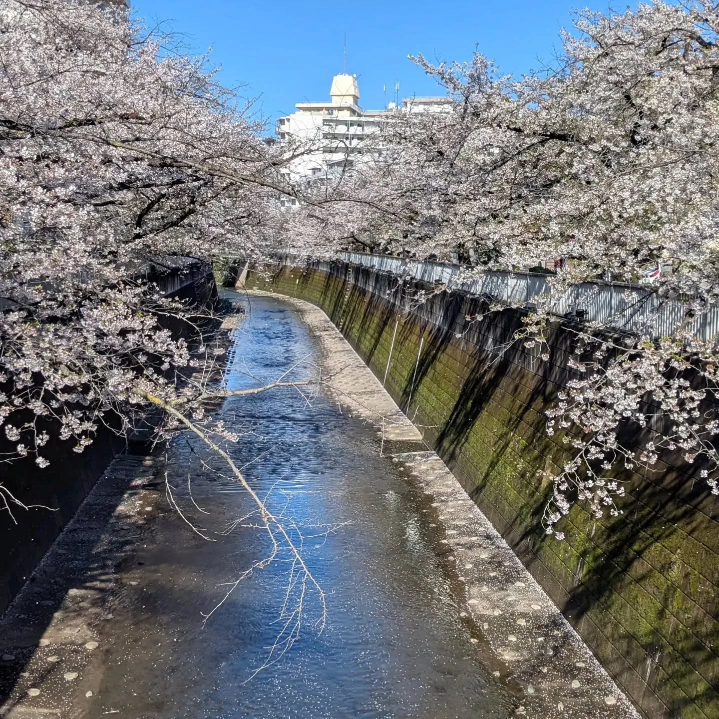 ☆東中野名所☆