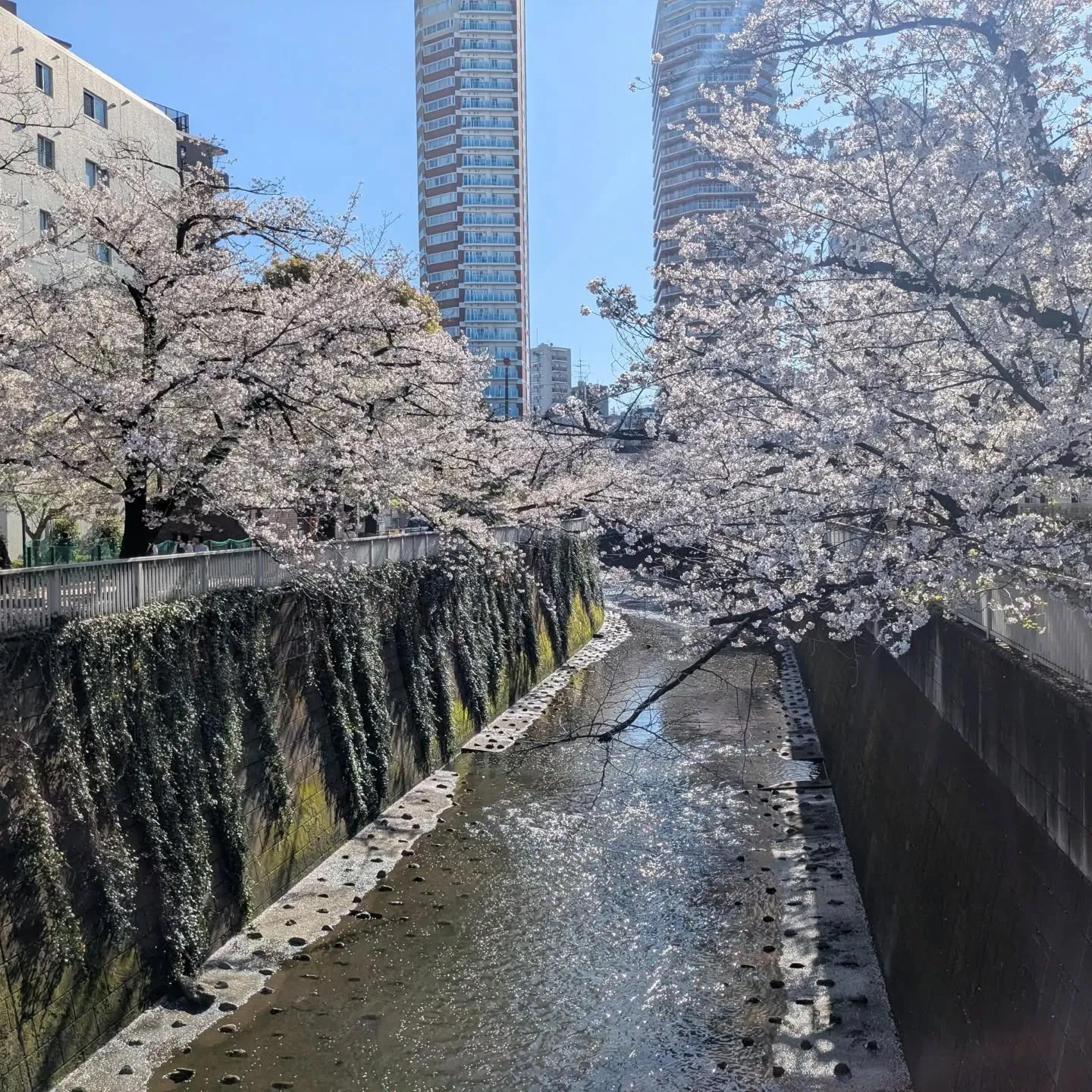 ☆東中野名所☆