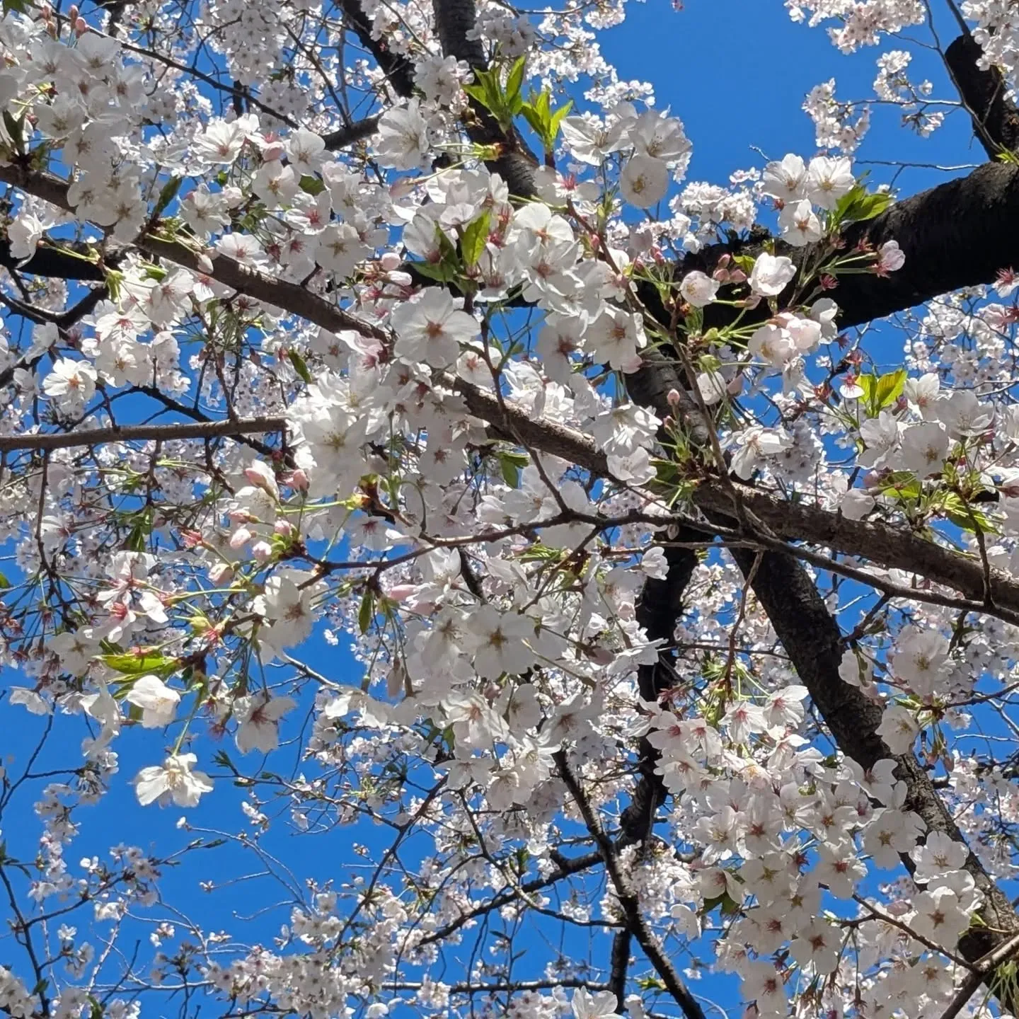 ☆東中野名所☆