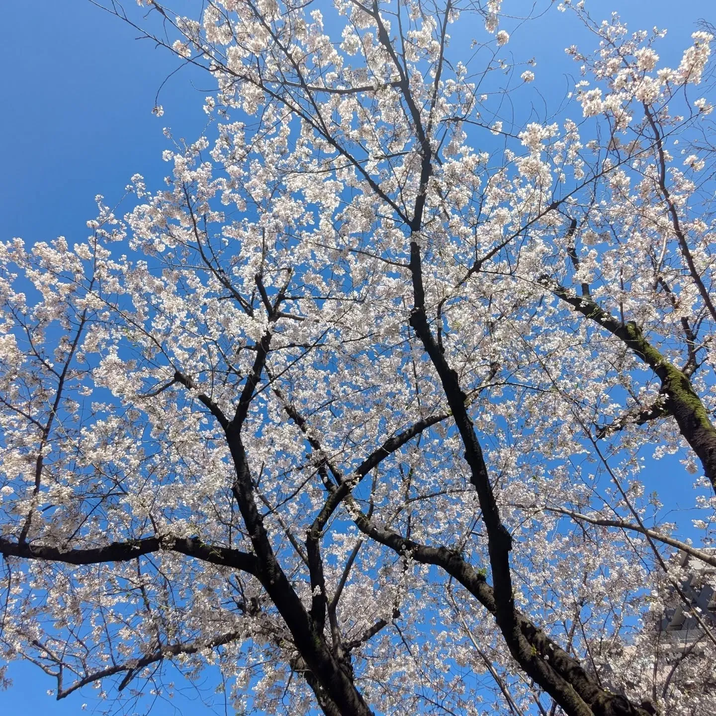 ☆東中野名所☆