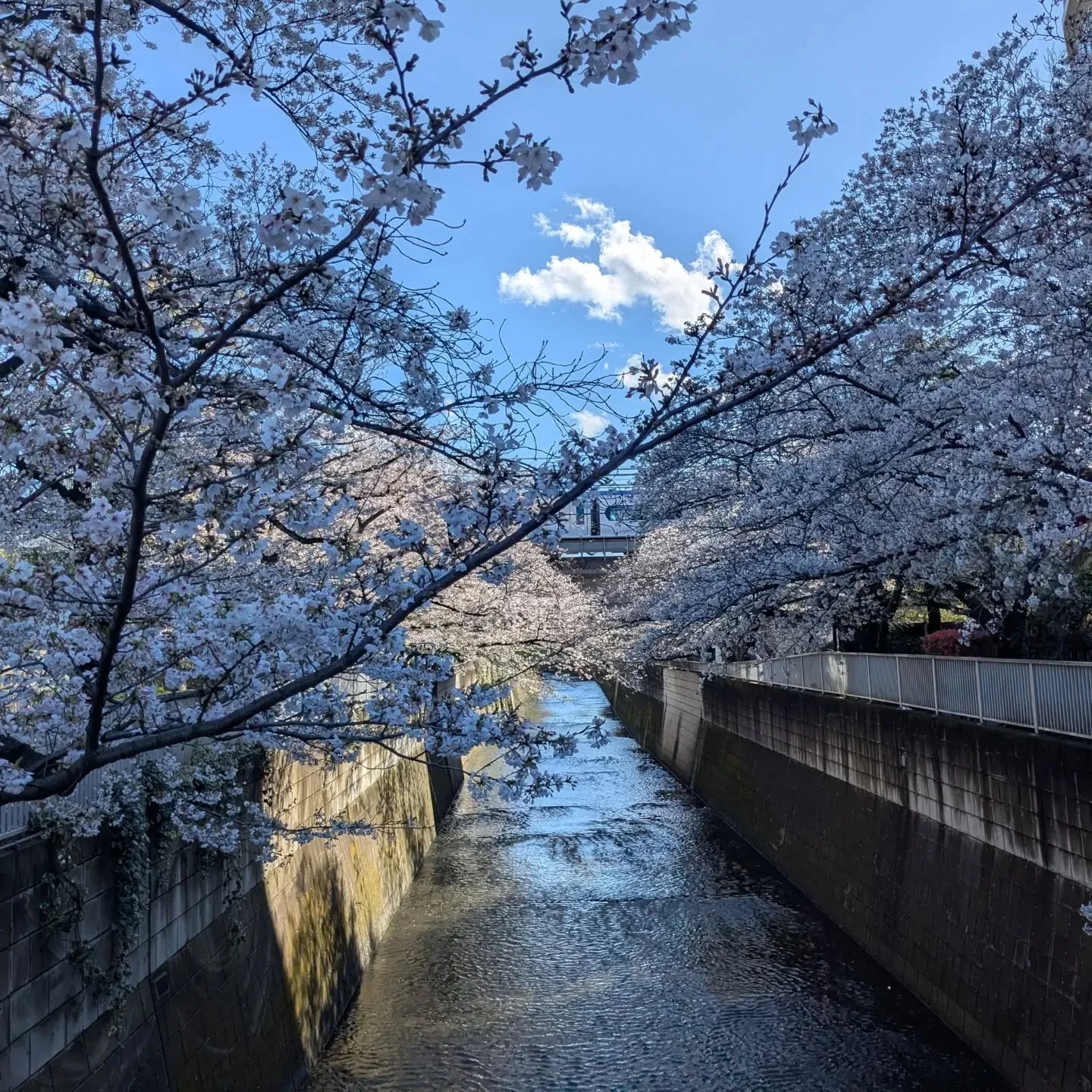 ☆東中野名所☆
